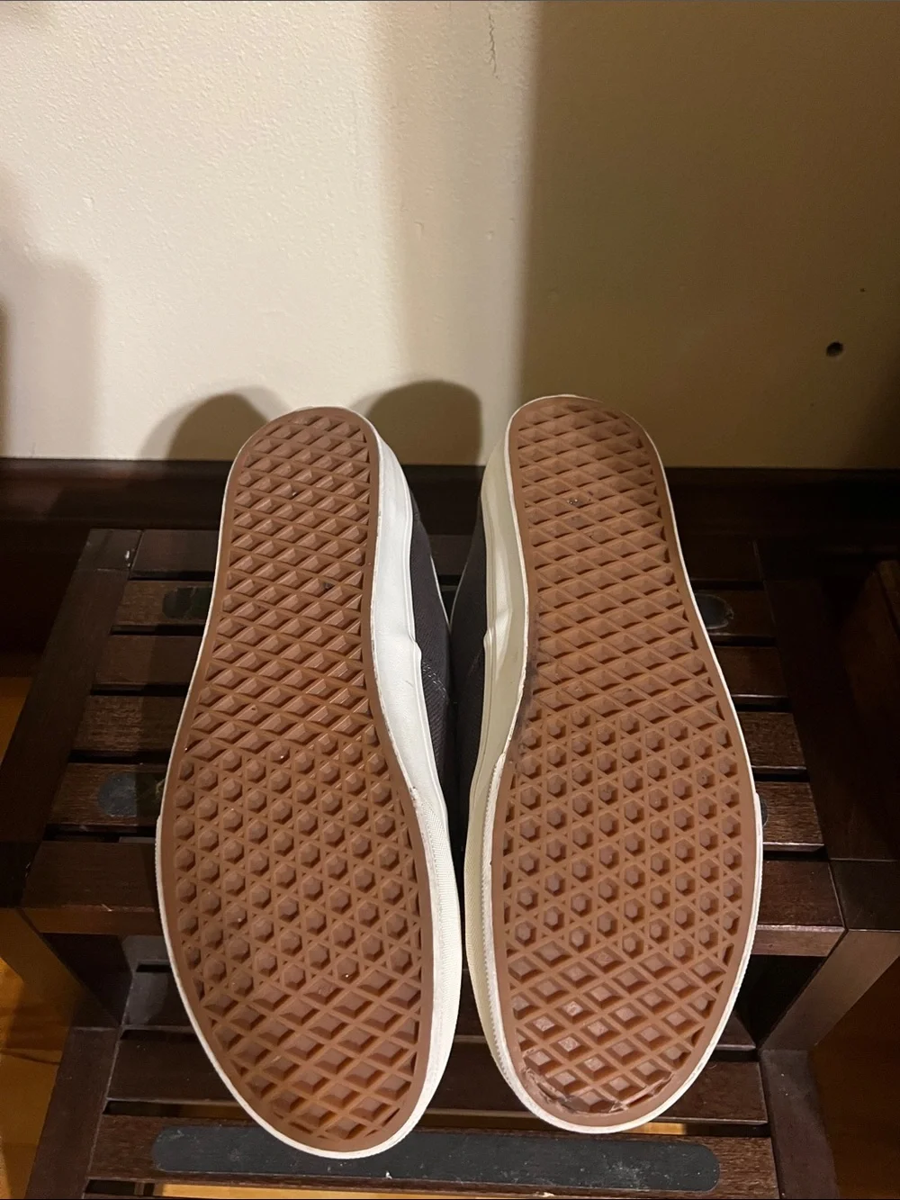 Vans Black Canvas Low-Top Sneakers with White Accents